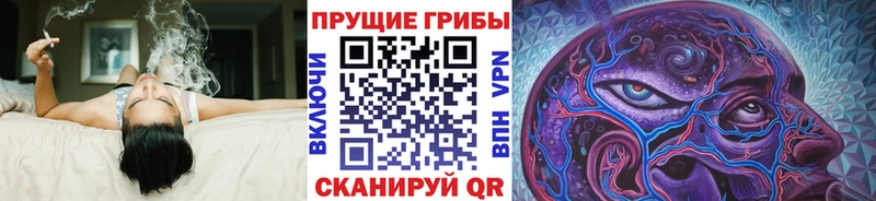 даркнет сайт  Лиски  Галлюциногенные грибы GOLDEN TEACHER 